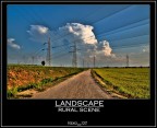 RURAL SCENE RURAL SCENE