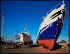 cantieri navali