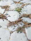 Calpesto ci che fu il piano fisico e virtuale di mille e mille storie e di mille e mille vite