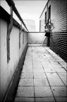 on the roof (ancora)