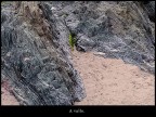 Ai piedi di due scogli :)
