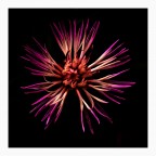 Colors in the dark.... Colors in the dark....