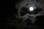 con otturatore a 1/4sec