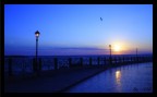 alba...