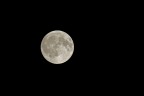 Luna piena