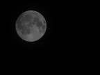 Luna b/n