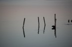 uno scorcio passeggiando ad Orbetello...il centro mi aveva deluso ma seguendo il tramonto che accarezzava l'acqua fra le altre ho trovato questa...