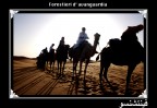 Serie Kasbah Marocco:

Una carovana made in Italy.