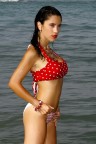 Anita 2