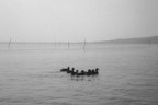 lago trasimeno anno 1994