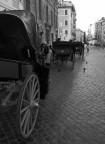 Le carrozzelle