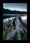 Lake Octopus