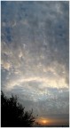 .: cielo a pecorelle :.