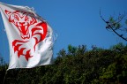 tigre maremmana