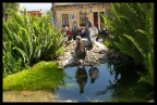 Un bel colombo nel parco Guell voleva farsi fotografare.....