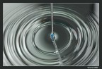 La forma dell'acqua