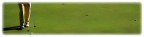 Golf Club