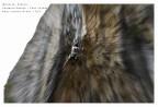 l'arrampicata in foto risulta abbastanza noiosa in quanto quasi sempre statica e cos ho provato a cercare di tirar fuori con un "finto panning" il movimento di chi si muove in parete...
Giornata con luce molto piatta x questo il cielo  bruciato
