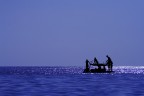 Piaceri di una sera di mezza estate
