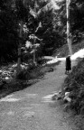 Il sentiero della vita