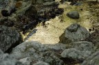 La Camosciara, Parco Nazionale d'Abruzzo