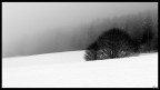 Un inverno sul Cansiglio...