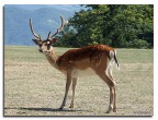 Natura