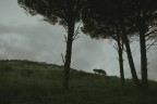 II