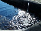 Fontana