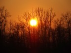Nessun luogo pare pi lontano del parco sotto casa