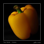 ...giallo e verde