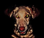 Diabolo