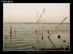 Laguna Veneta