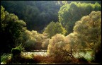 Lungo il Garigliano