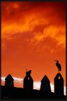 ci vediamo all'alba sul tetto...