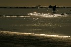 Pescando