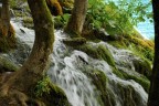 Plitvice - Una delle centinaia di cascate