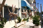 Un ristorante sicuramente certificato!!!