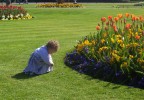 S. Stephen's Green - Dublino