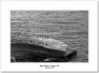 lungomare Balai #60 (come pinguini)