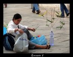 Panasonic FZ50 - 200 ISO - 1/50 f3,6 - 160 mm
ringrazio per ogni suggerimento o consiglio......

se proprio non potete farne a meno anche per le critiche!!
