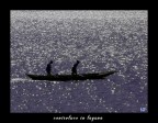 Panasonic FZ50 100 ISO 1/500 f11 420 mm - 1.33 eV