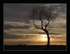 Tramonto