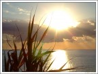 Come il sole all'improvviso...