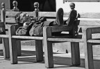 immagini di citta'