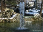fatta oggi pomeriggio ai giardini della stazione F.S.