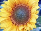 a me piace, datemi i vostri consigli