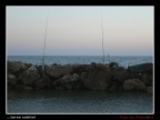 Panasonic Lumix FZ20