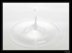 Bianco latte