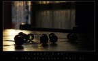 Dreamer's Ball Part 2